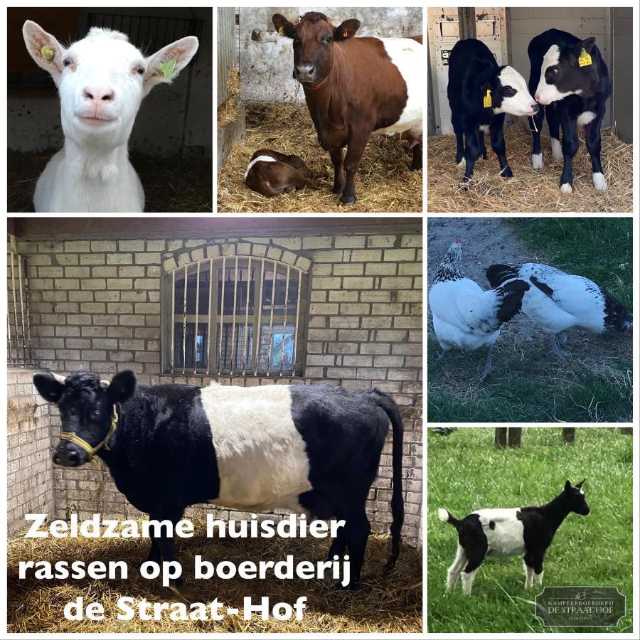 Herberg Boerderij De Straat-Hof Bed & Breakfast Leimuiden Luaran gambar